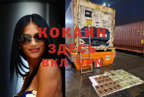 индика Алексин