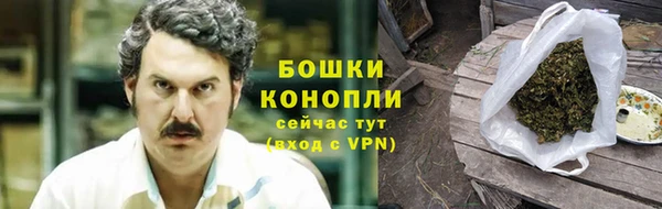 гашик Арсеньев