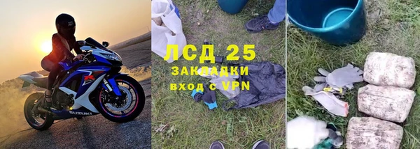 индика Алексин