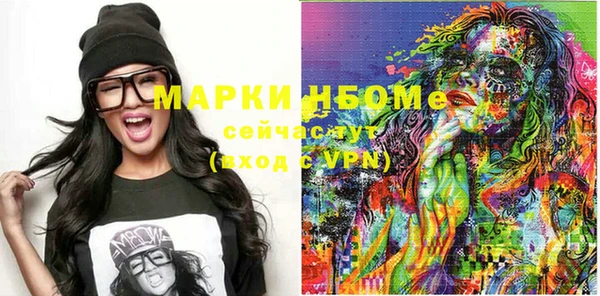 индика Алексин