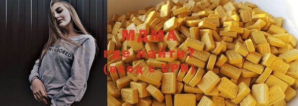 индика Алексин