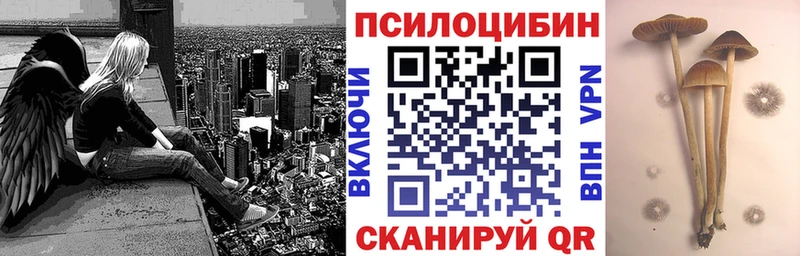 Псилоцибиновые грибы прущие грибы  сайты даркнета клад  Пушкино  что такое наркотик 